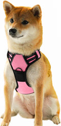Ziggy Pet Dog Harness Adjustable Nylon Mesh Vest with Leash Clips (Pink, Medium)