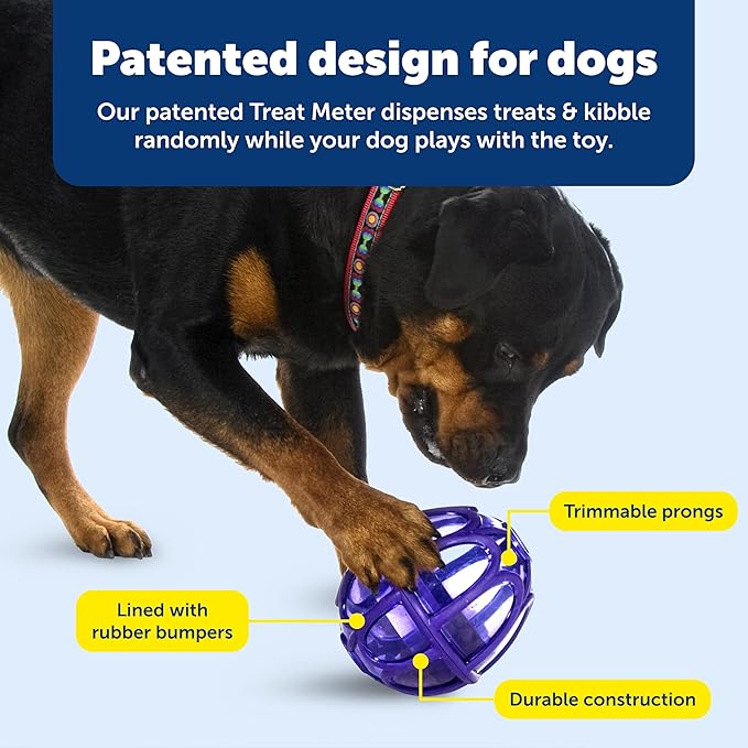 PetSafe Busy Buddy Kibble Nibble Dog Toy - Encourages Natural Instinct Feeding - Patented Treat Meter Design - Rubber Bumpers - Interactive Slow Feeder Ball - Purple - Small