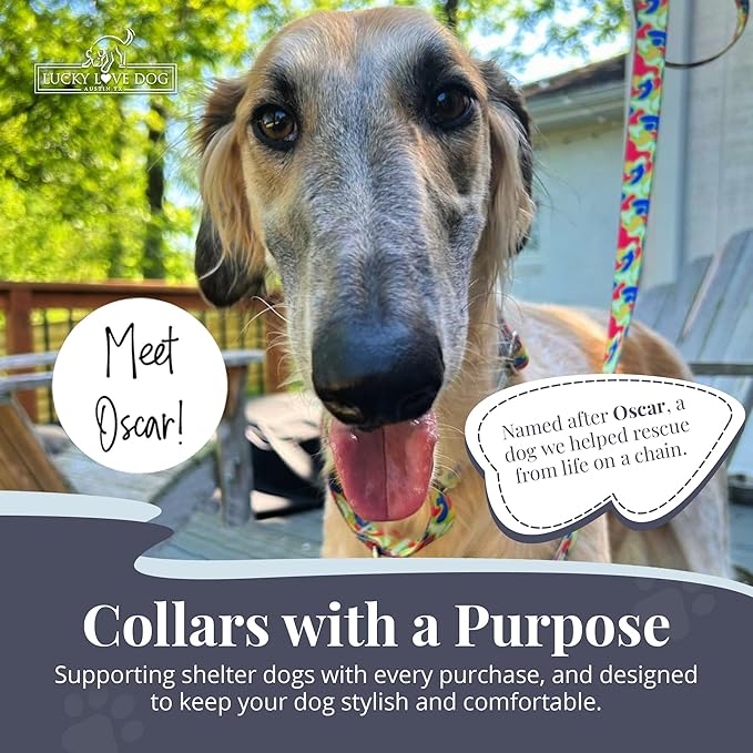 Lucky Love Dog Martingale Dog Collar - Adjustable, No-Slip, Durable, & Soft Webbing Collar for Male and Female Dogs Ideal for Training & Walking - Oscar, Medium