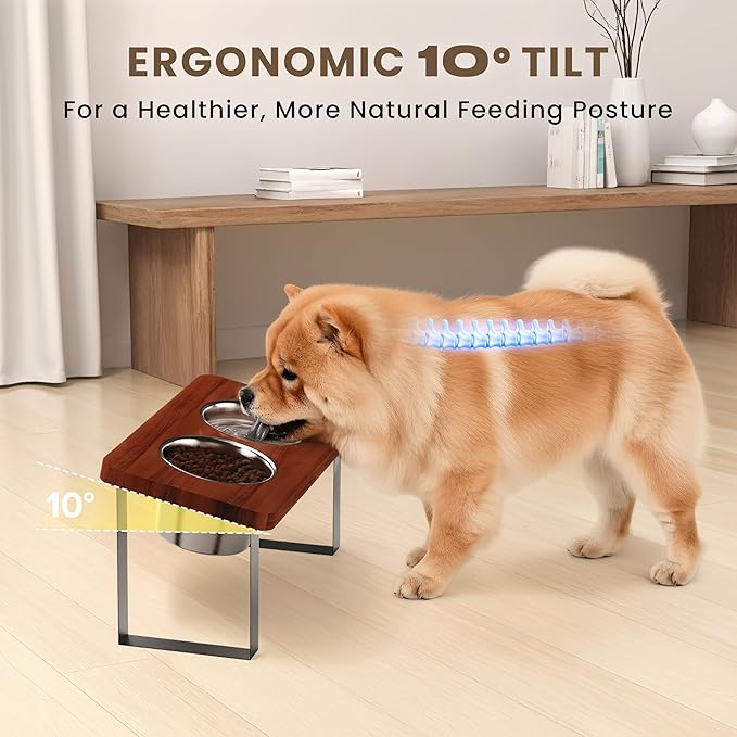 8.9" Tall Elevated Dog Bowls - Ergonomic Stainless Steel Dog Bowls with 10° Tilt in Acacia Wood Stand for Medium Breed