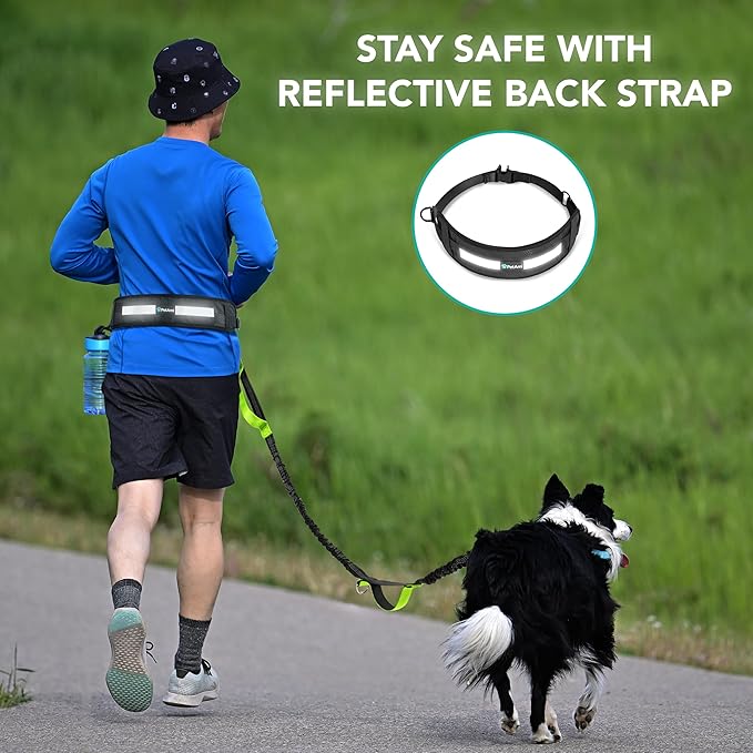 PetAmi Heavy Duty Hands Free Dog Leash, Adjustable Waist Belt for Large Dog Walking Up to 125 lbs, Bungee Leash for Pet Running, Hiking, Reflective Safety for Jogging, Biking, Green Handle