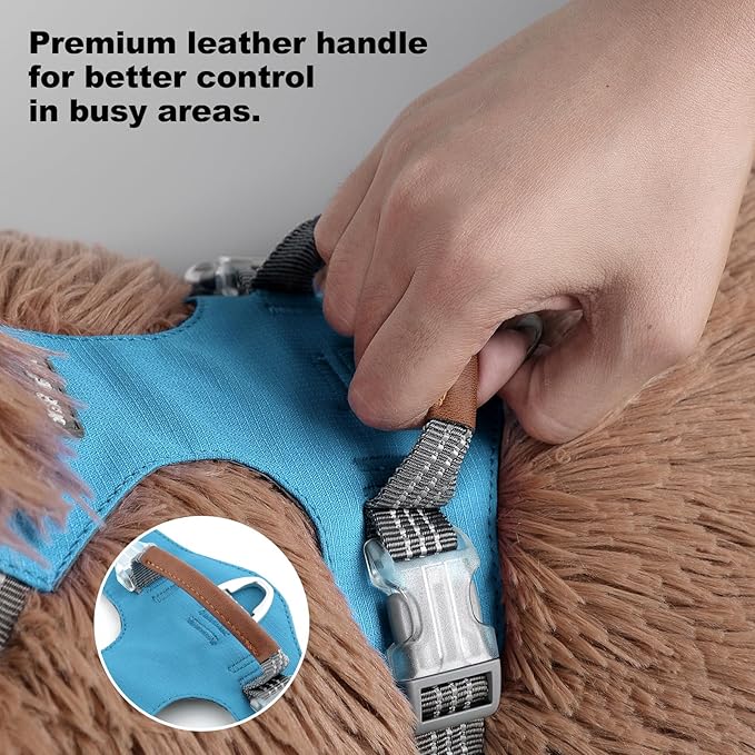 No Pull Dog Harness – Adjustable Reflective Nylon Vest for Small Medium Large Dogs, Escape Proof Training Harness with Leather Control Handle, Lightweight Aluminum Hardware (Cyan, L)