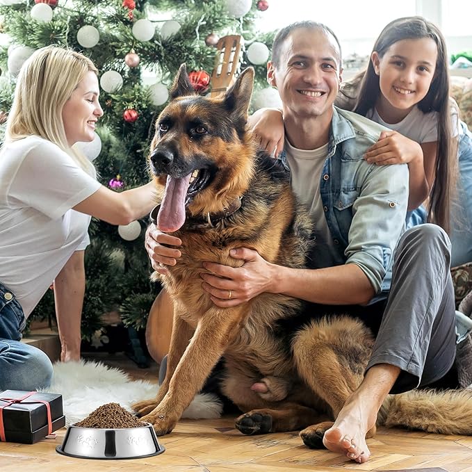 Tanlade 8 Pack Stainless Steel Dog Bowls Metal with Rubber Base Non-Slip Pets Puppy Cats Feeding Food and Water Bowls Dishwasher-Safe for Indoor Small Medium Large Dogs Cats Kitten Rabbit(18.6 oz)