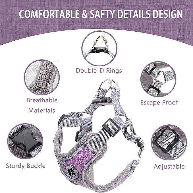 Small Dog Harness and Leash Set,No Pull Adjustable Step in Soft Mesh Vest Harness,Easy Walk Reflective Pet Harness with Padded Handle for Walking Training Small Medium Large Dogs and Cats (Purple, S)