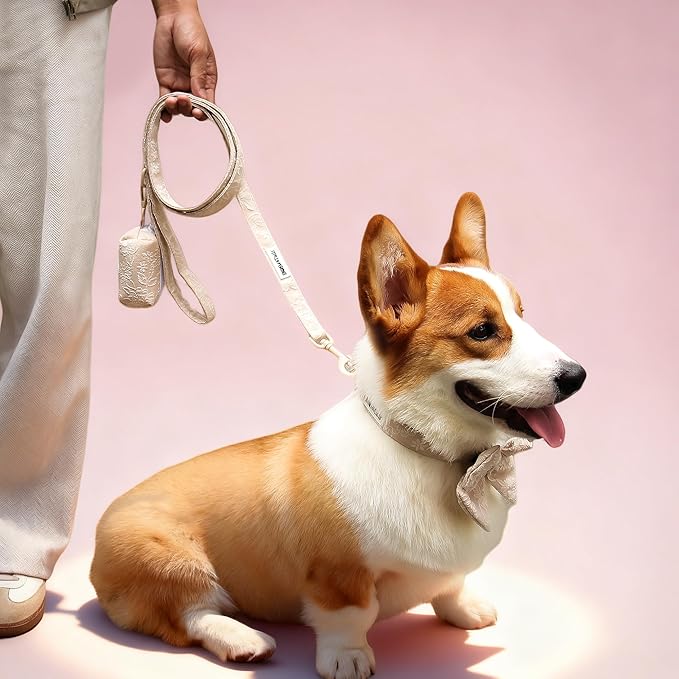 5 FT Stylish Dog Leash, Soft Dog Leashes with Comfortable Padded Handle, Metal Carabiner Clip, Strong No Pull Pet Leash for Small Medium Dogs for Walking, Shopping and Running