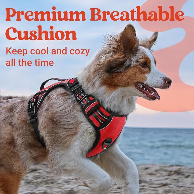 rabbitgoo Dog Harness Small Sized Dog, No Pull Pet Harness with Soft Padded Handle, Adjustable Reflective Vest with 3 Buckles, Easy Walking Harness with 2 Leash Clips, Red, S