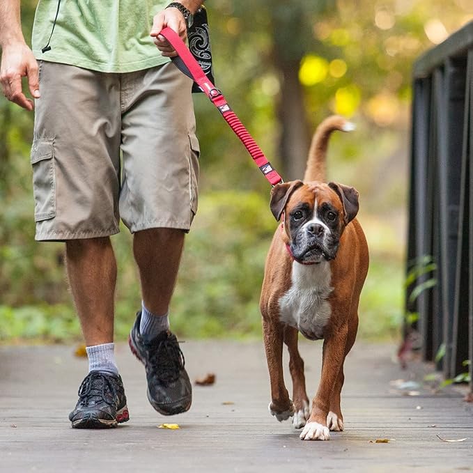 EzyDog Zero Shock Dog Leash - Shock Absorbing Bungee Leash for Dogs That Pull or Excite - Dual Handle and Reflective for Large, Medium, or Small Dogs (48-Inch, Green Camo)