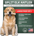 Mountain Valley Elk Antlers for Dogs - 100% Natural & Organic Chew for Aggressive Chewers, No Odor, No Mess, Long Lasting - Wild-Foraged Naturally Shed Antlers in USA - Grade A, Split Large (1 Pack)