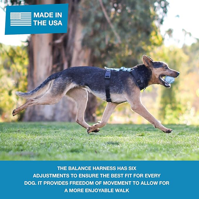 Blue-9 Pet Products No-Pull Balance Harness and Loose Leash Walking Set Dogs, Made in The USA, Black, Large
