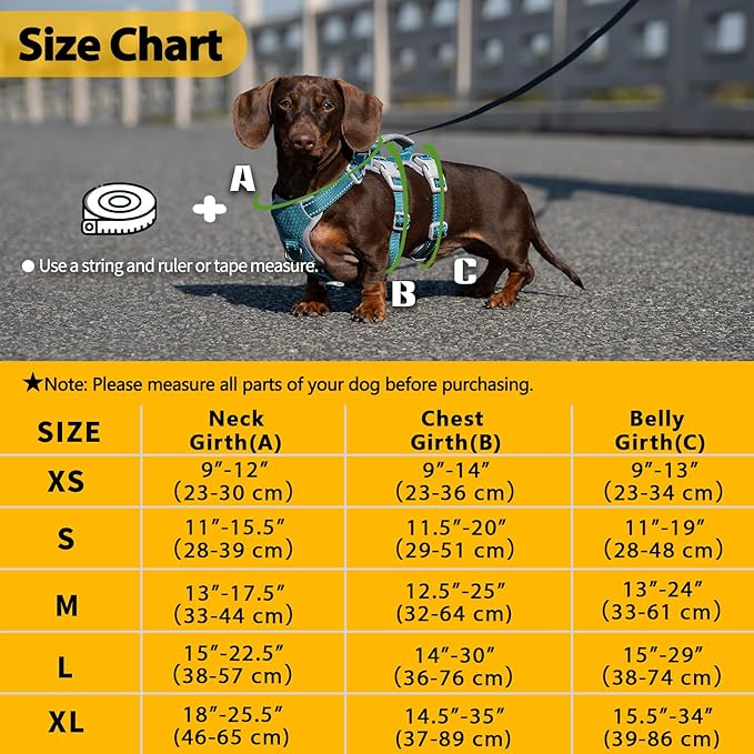 Huntboo Escape Proof Dog Harness, No Pull Reflective Harness with Lift Handle, Adjustable Pet Vest with Front and Back Leash Clips for Small Medium Large Dogs Walking Hiking Training (Teal,XL)