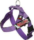 BULLHUG Adjustable Dog Harness– No Pull, No Choke – for English Bulldogs, French Bulldogs, Pugs & Broad-Chested Breeds – Easy, Safe Walks (Violet, XL)