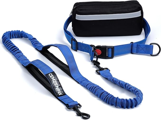 Hands Free Dog Leash with Waist Belt – No-Pull Bungee, Dual Padded Handles & Zipper Pouch for Running, Walking & Training – Adjustable Waist Leash for Large & Medium Dogs
