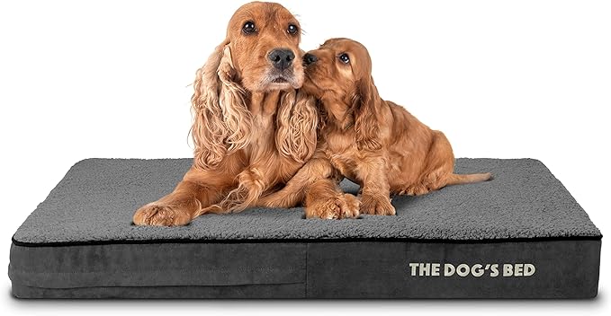 The Dog’s Bed Orthopedic Memory Foam Dog Bed Mattress, Plush Fabric, Grey Plush, Large, 4-Inch