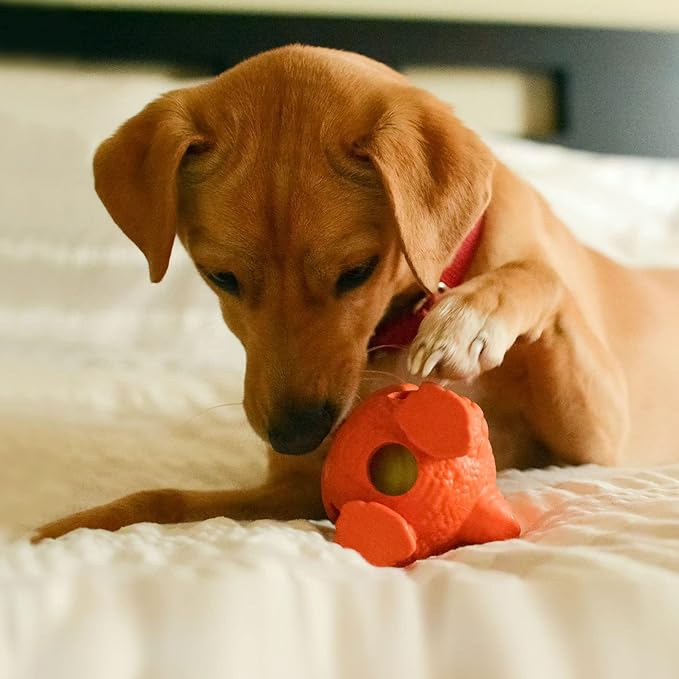 Friends Forever Squeaky Dog Toys with Tennis Ball, Tough Dog Chew Toy, Interactive Fun Indoor Play, Non-Toxic Durable Natural Rubber Puppy Teething, Dinosaur Citron/Orange 2 Piece