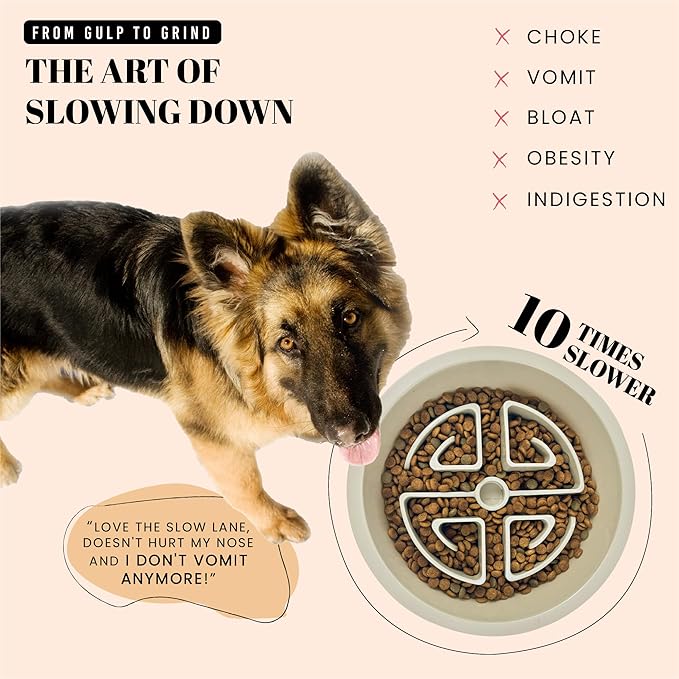 AVERYDAY Slow Feeder Dog Bowls for Large Breeds Fits Raised Feeding Station, Puzzle Dog Food Bowls to Slow Down Eating, Dogs Feeding Bowl with Non-Slip, Slows Feeder Pet Bowl for Wet and Dry Food