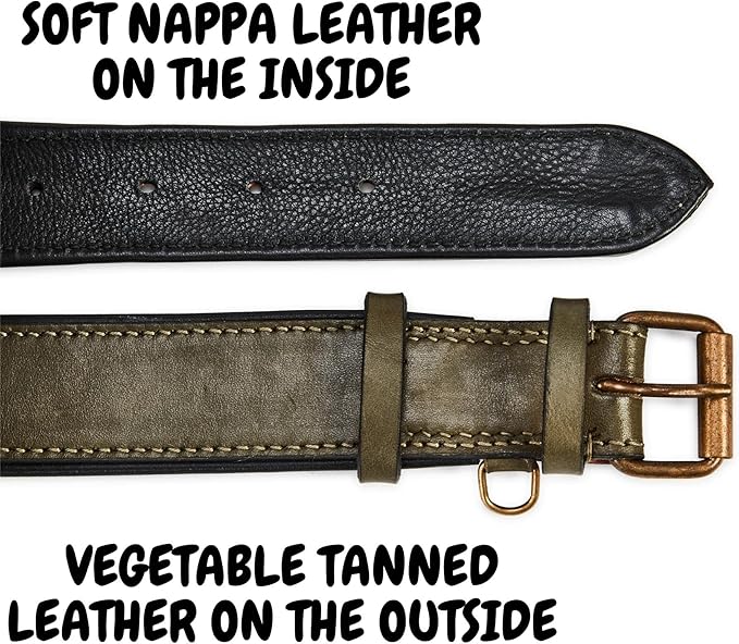 Real Leather Dog Collar Padded Soft Interiors with Premium Vintage Look Handcrafted Heavy Duty with Tag Ring for Small Medium and Large Pets (Large (1.5" Wide for 16.5" - 20.5" Neck), Olive)