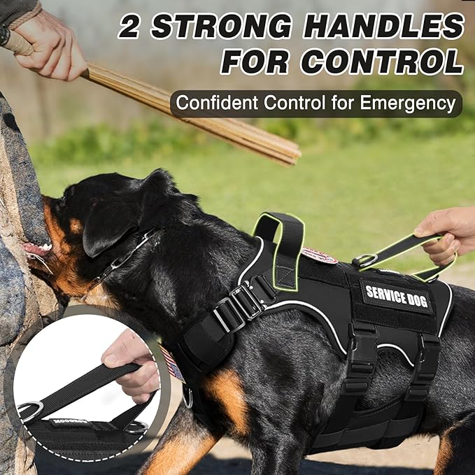 Tactical Service Dog Vest and Leash Set,Heavy Duty Harness with Metal Buckles for Large Dogs,Adjustable No Pull Pet Vest with 10 Patches,for Training Working Hiking,Black L