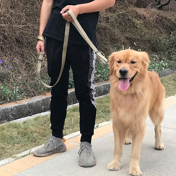 Hyhug Pets Premium Upgraded Adjustable Between 4 Feet and 6 Feet Leash with Sturdy Nylon and Super Soft Neoprene Lined Handle for Small Medium Large Dogs Lead
