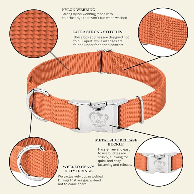 Country Brook Petz - Premium Nylon Dog Collar with Metal Buckle for Small Medium Large Breeds - 10+ Warm Colors (Medium, 3/4 Inch, Coral)