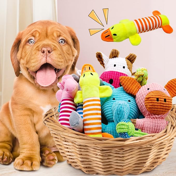 12 Pack Dog Squeaky Toys: Cute Interactive Plush Chew Toys with Rope, Puppy Teething Toys Bundle for Small Medium Dogs to Keep Busy