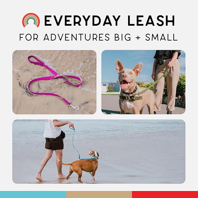Wildebeest Funston Waterproof Dog Leash - Heavy Duty 6 ft Long Leash for Small, Medium and Large Dogs - 1000D Nylon Scratch & Stink-Resistant & Pill-Free - Nylon Wrap Handle (3/4" Wide, 6 ft Length)