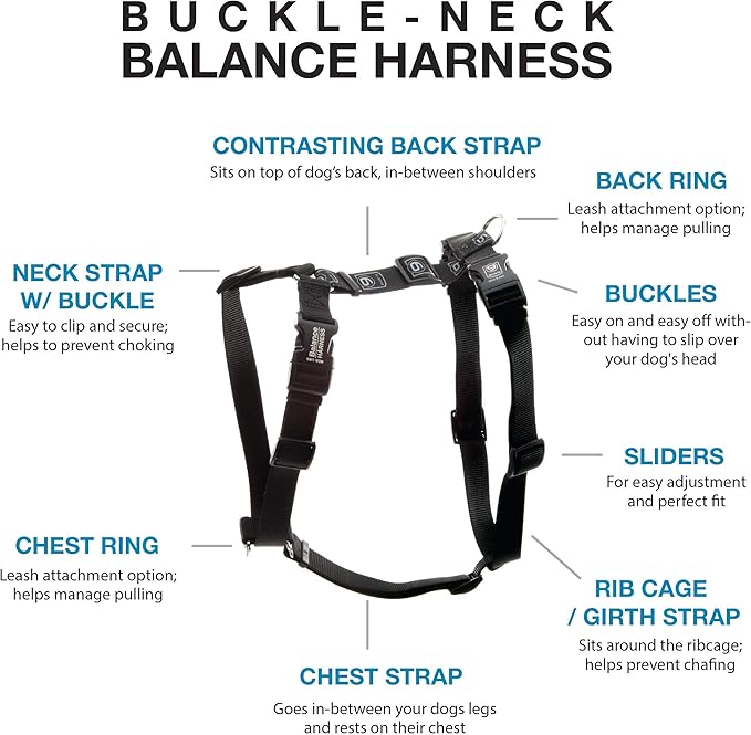 Blue-9 Pet Products No-Pull Balance Harness and Loose Leash Walking Set Dogs, Made in The USA, Black, Medium/Large