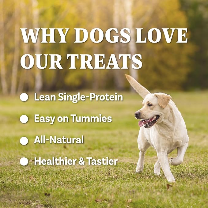 A Freschi srl Buffalo Dog Treats, All-Natural, Hypoallergenic, High Protein, Low Fat, Human Grade Puppy Chews – Healthy Grain-Free Training Treats, 12oz Jerky