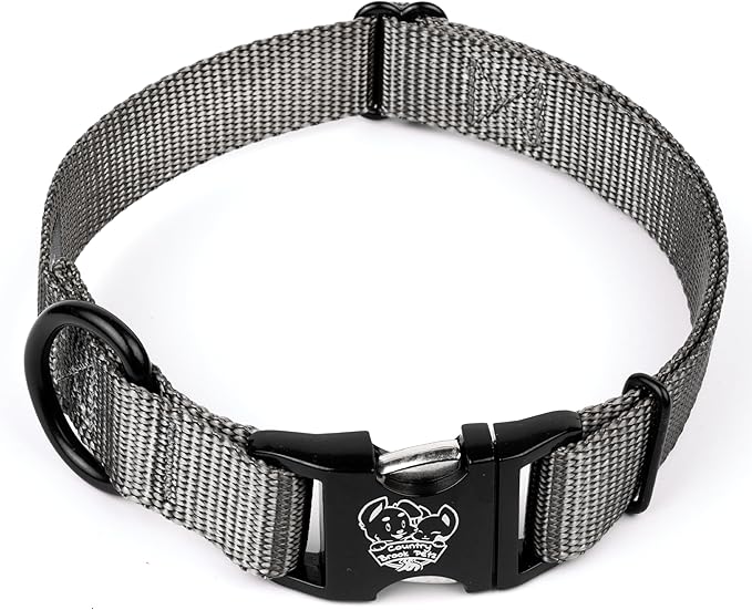 Country Brook Petz - Premium Nylon Dog Collar with Metal Buckle for Small Medium Large Breeds - 10+ Cool Colors (Medium, 3/4 Inch, Charcoal)