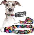 Lucky Love Dog Martingale Dog Collar & Leash - Adjustable, No-Slip, Durable, Comfortable, Soft Webbing, & Stylish Patterned Collar & Leash Set for Male and Female Dogs - Blackbird Combo, Medium