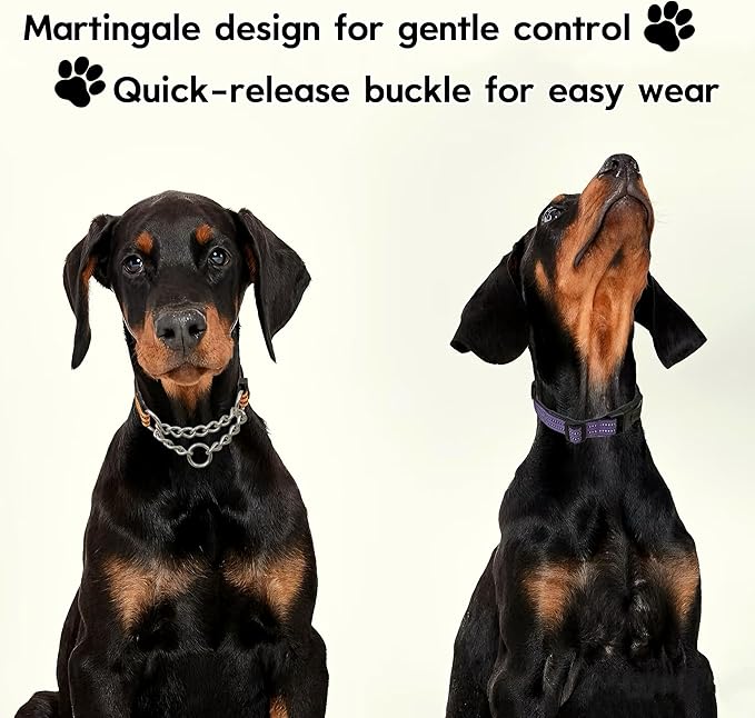 Martingale Dog Collars, Reflective Nylon Collar with Stainless Steel Chain, Adjustable Walking Training Dog Collars with Quick Release Buckle, Suitable for Small Medium Large Dogs(Purple,L)