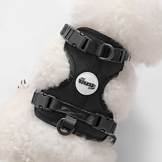 HNS1001I Arlo Small Adjustable Soft Padded No Pull Pet Harness with 3 Buckles and 3 Leash Clips, Bitters
