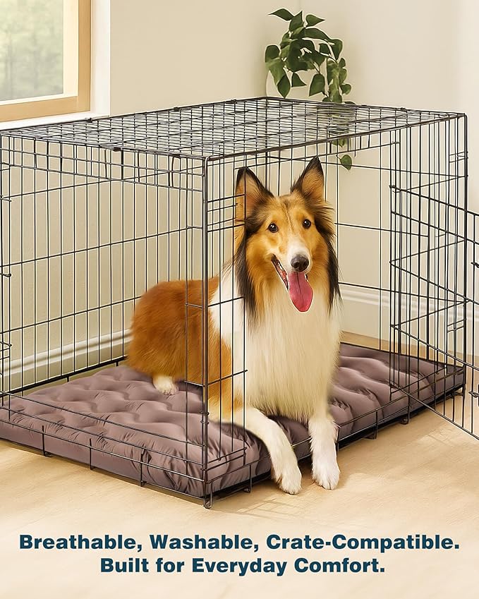 Orthopedic Dog Bed Outdoor Waterproof Dogs Crate Bed for Large Medium Small Dogs, Washable Cooling Dog Bed Mat with Removeable Cover & Memory Foam（30" x 20", Beige