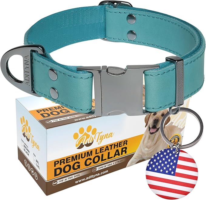 ADITYNA Leather Dog Collar with Metal Buckle - Heavy-Duty, Adjustable for Large & Extra Large Dogs - Walking & Training (Blue, Fits 19-30" Necks)