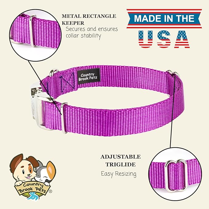 Country Brook Petz - Premium Nylon Dog Collar with Metal Buckle for Small Medium Large Breeds - 10+ Cool Colors (Extra Large, 1 Inch, Bright Purple)