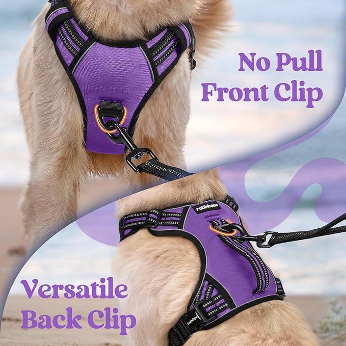 rabbitgoo Dog Harness Medium Sized, No Pull Pet Harness with Soft Padded Handle, Adjustable Reflective Vest with 3 Buckles, Easy Walking Harness with 2 Leash Clips, Purple, XL
