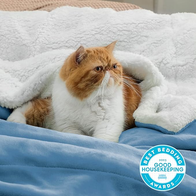 Bedsure GentleSoft Sherpa Fleece Blanket Queen Size for Bed, Non-Heated, Thick and Warm Throw for Women and Men, Soft Fuzzy Plush Queen Blanket for Winter, Washed Blue, 90x90 Inches