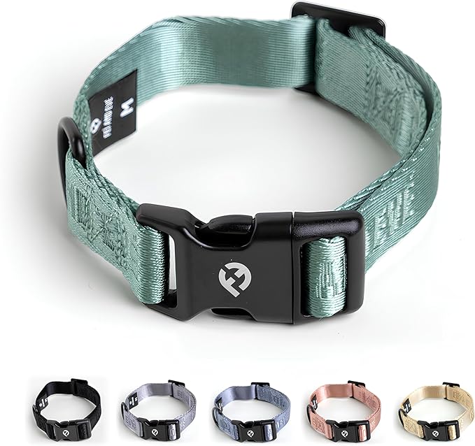 2026 New Edition, Fei & Eve Classic Dog Collar - Quick Release Metal Buckles | Fur-Safe | Premium 210D Nylon | 450LB Escape-Proof | Adjustable Fit | Small (Glacier Green)