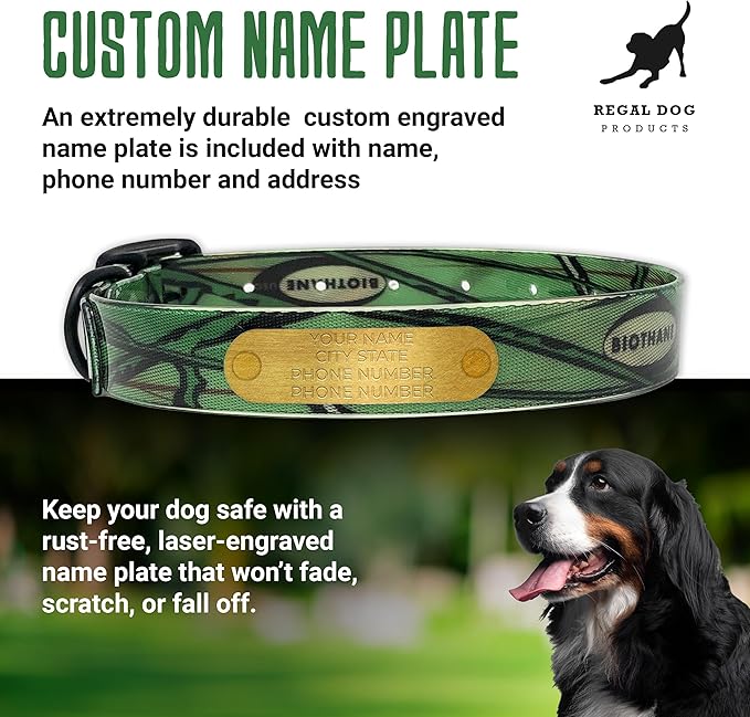 Regal Dog Products Medium Green Camo Hunting Dog Collar with Custom Engraved Name Plate and Heavy Duty Black Hardware | Waterproof Personalized Dog Collars | Other Sizes for Small, Medium & Large