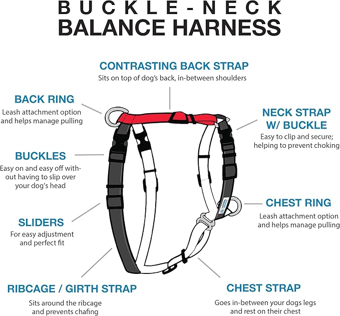 Blue-9 Buckle-Neck Balance Harness, Fully Customizable Fit No-Pull Harness, Ideal for Dog Training and Obedience, Made in The USA, Red, Medium/Large