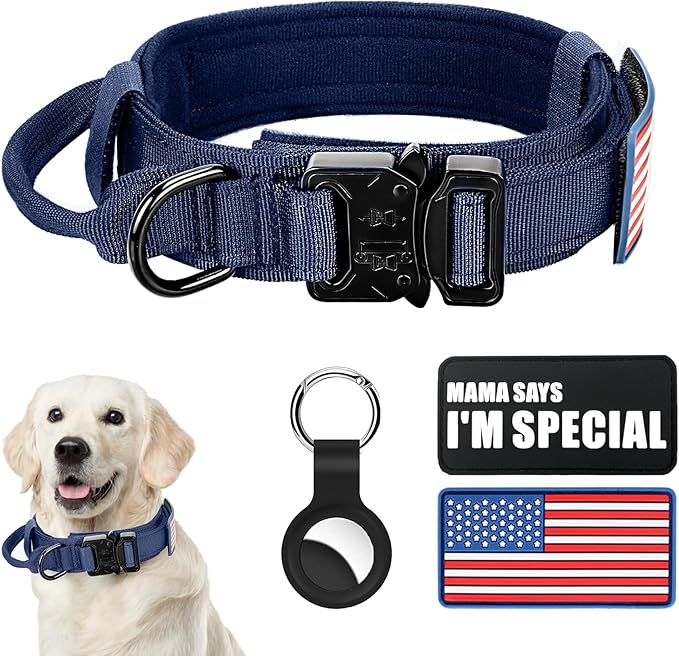 Tactical Nylon Dog Collar - Heavy Duty Metal Buckle with Handle for Dog Training, with Patches (Blue, L)