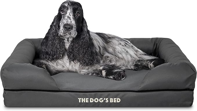 The Dog’s Bed Orthopedic Memory Foam Dog Bed with Bolsters, Oxford Fabric, Grey with Black Trim, Medium