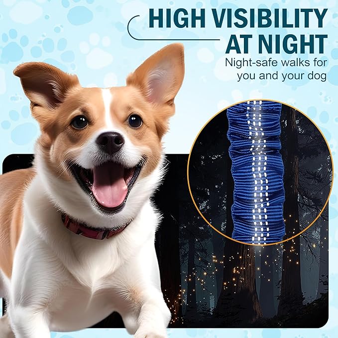 Hands Free Dog Leash for 2 Dogs – Waist Leash for Dog Walking with Dual Bungee, Reflective No Pull Design, Adjustable Belt & Pouch for Running, Hiking, Jogging