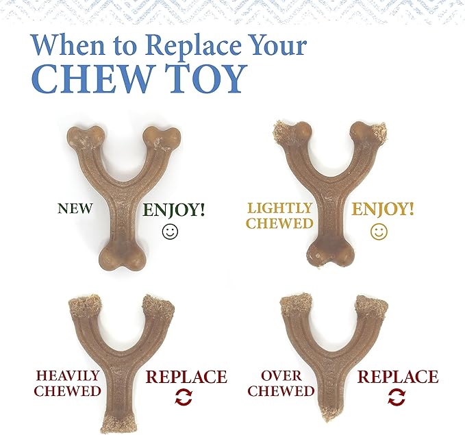 Nylabone Gourmet Style Femur & Wishbone Strong Chew Toy for Puppies, Puppy Teething Toy, Bacon & Peanut Butter Flavor, Small Dogs - Up to 25 Ibs, 2 Pack