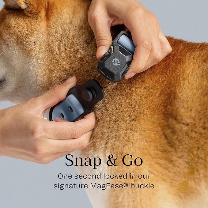 2026 New Edition, Fei & Eve PVC MagEase Dog Collar - Patented Magnetic Buckles | Fur-Safe | 450LB Escape-Proof | Adjustable Fit | Large (Dusk Blue)