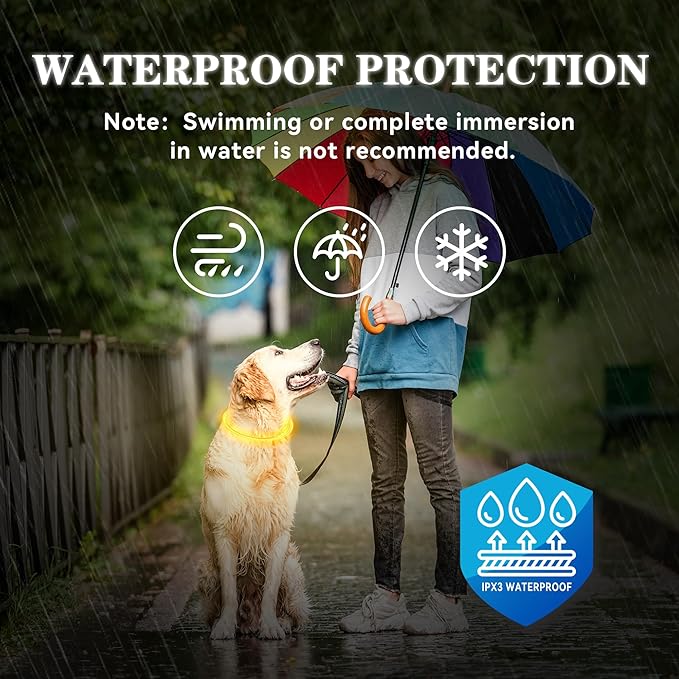 Light Up Led Dog Collar Rechargeable Waterproof, Glow in Dark Dog Collar, TPU Cuttable Lighted Dog Collars for Night Walking Charging USB, Safety for Small Medium Large Dogs Orange