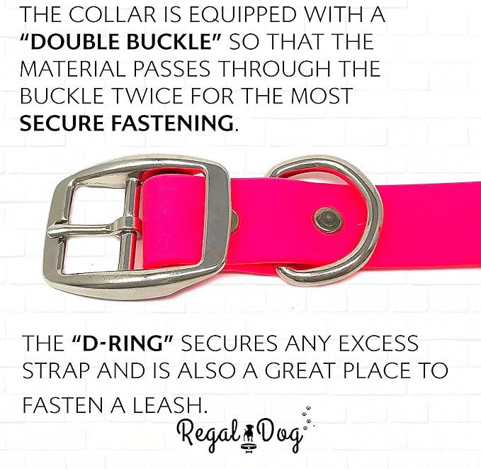 Regal Dog Products Small Pink with Custom Engraved Waterproof Dog Collar and Leash Set | Waterproof Dog Collar with Double Buckle & D Ring - 5'ft Leash | Matching Dog Collar and Leash for Dogs