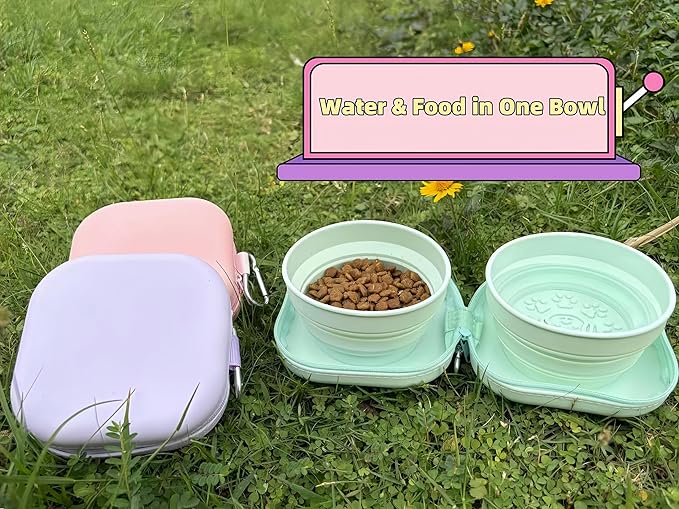 2-in-1 Collapsible Pet Bowl, Portable & Food-Grade for Dogs & Cats with Carabiner (Pink)