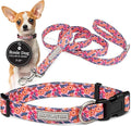 Lucky Love Dog - Easy Click Buckle Dog Collar with Leash Set Combo, Durable & Comfortable for Male & Female Dogs, Pet Collar for Small Dogs, Secure Fit - Floral Rosie Combo, X-Small