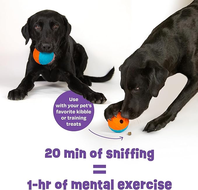 Brightkins Tough & Tumble 2-Piece Texture Ball Small, Enrichment Puppy Essentials, Dog Birthday Treat Pouch Gifts, Training Dog Accessories, Travel Squeez Pouch, Slow Feeder Dispensing Container