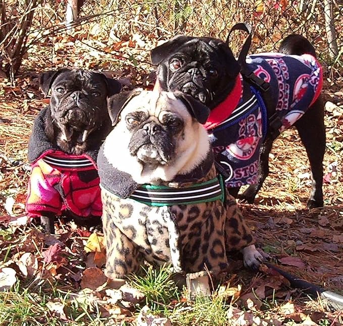 ComfortFlex Sport Dog Harness – No-Choke, Fully Padded, Non-Chafing Harness with Control Handle – Reflective, Lightweight, Adjustable for Active Dogs - XLarge, Hot Pink